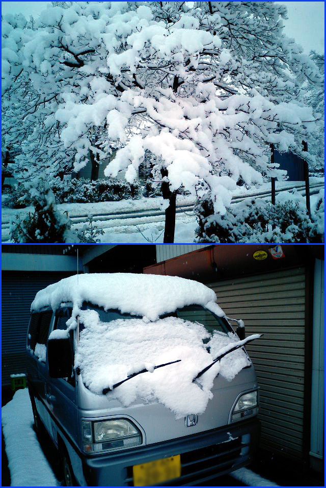 ◆綿 雪◆里の雪その１