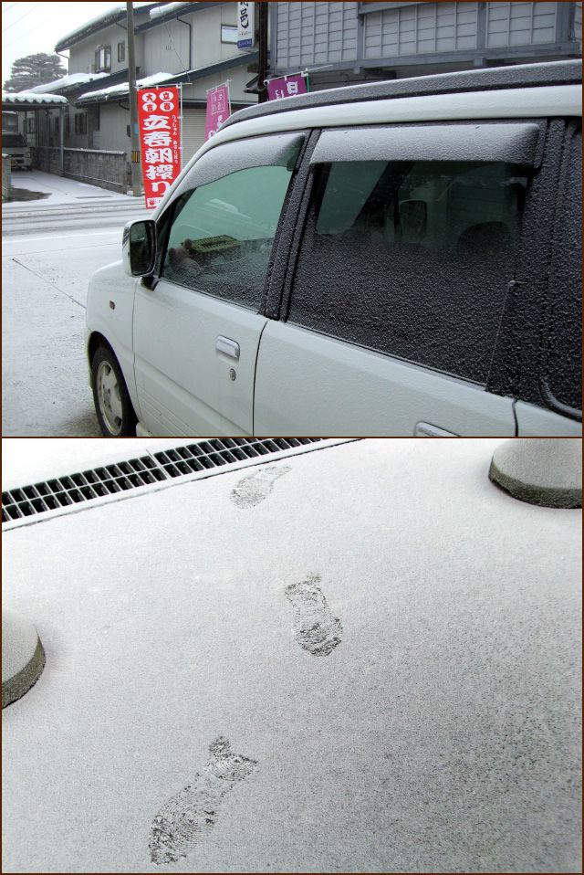 ◆細雪◆里の雪その４