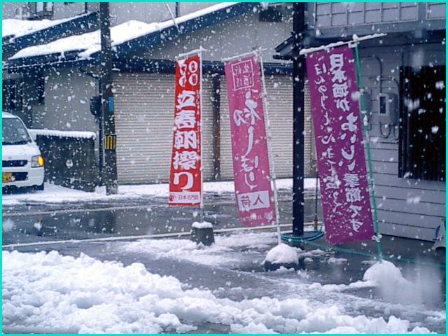 ◆ボタ雪◆里の雪その５