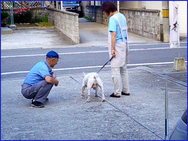 ◆黄昏時に◆