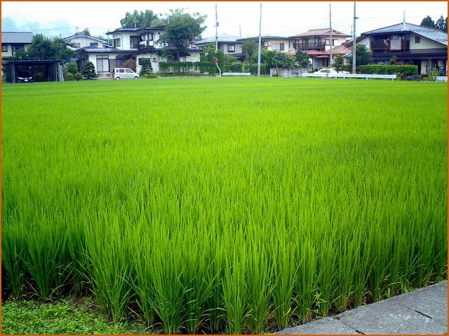 ◆夏の終わりに◆