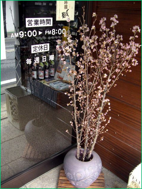 ◆店頭にて 弥生2010◆