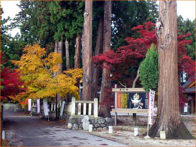 ◆里の紅葉と直江杉◆