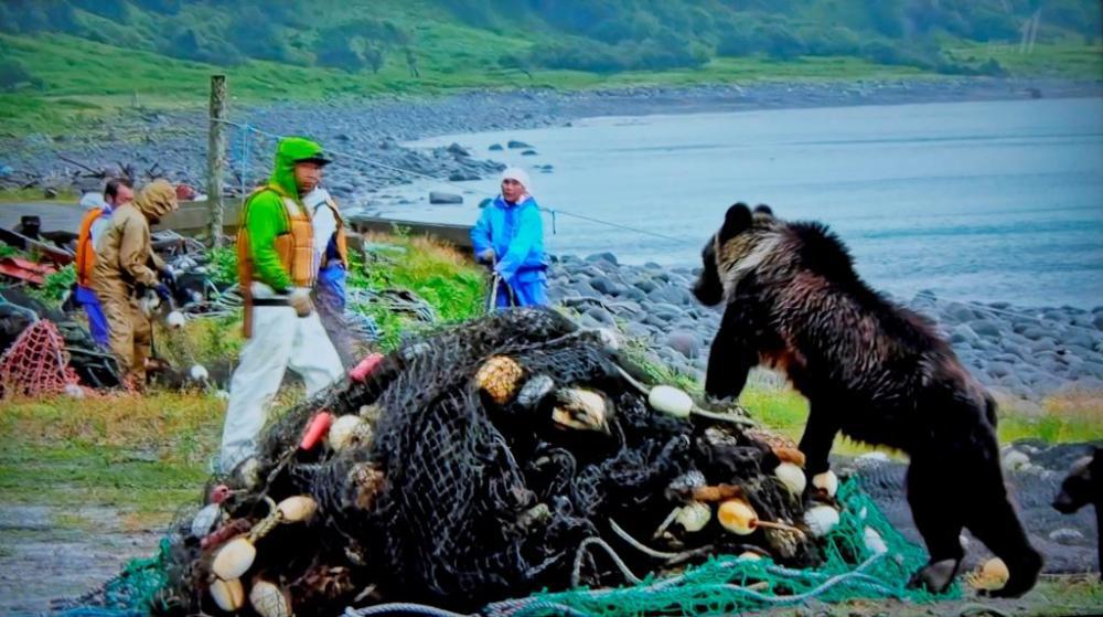 至近距離でクマと向き合う漁師