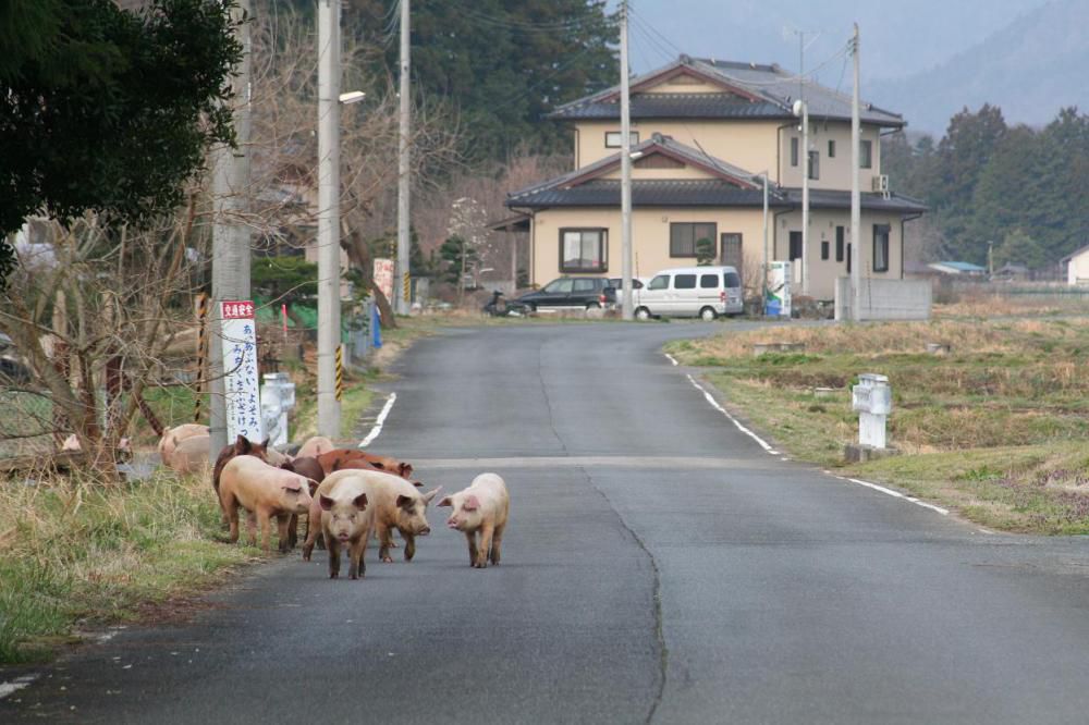 地図から消される街…そして、サンゴ礁の海では