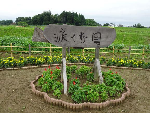 「見えない涙」と「涙ぐむ目」