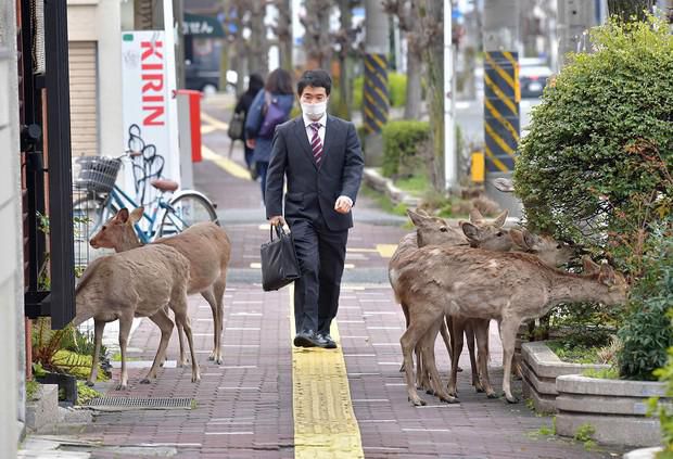 コロナ禍の文学…「最後の自粛」という想像力