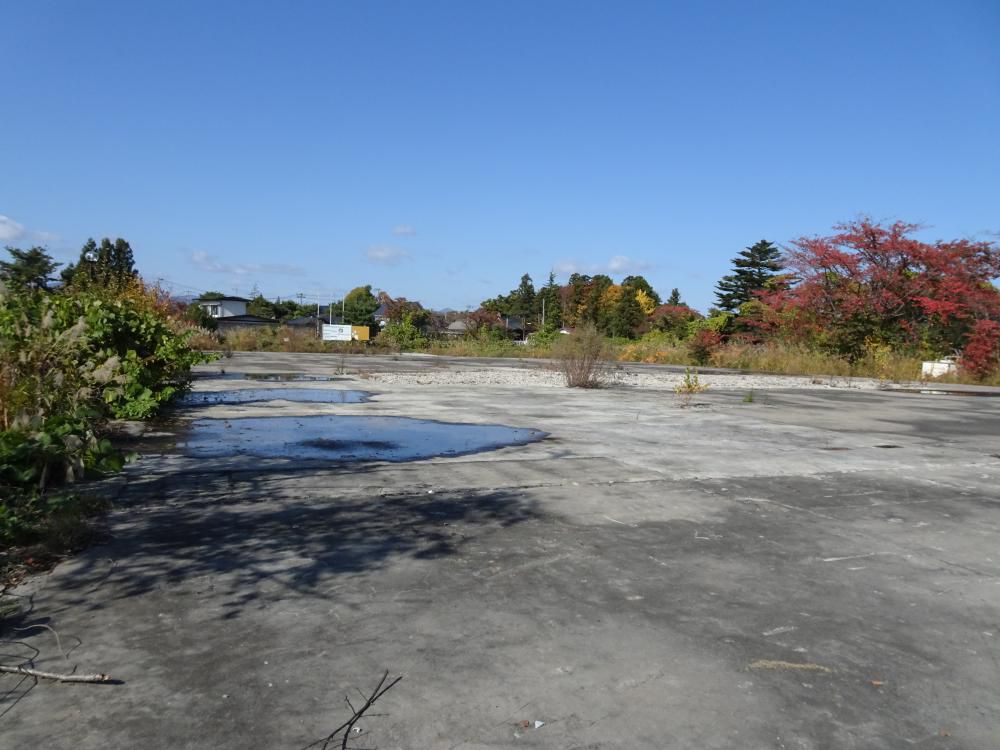 緊急提言―「花巻城址」残酷物語…（私論）旧東公園に新花巻図書館を！？