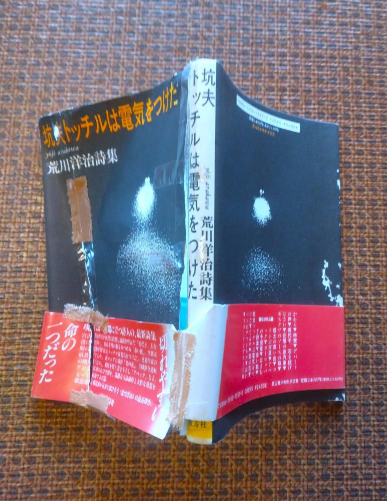 私論「まるごと賢治」…「美代子、あれは詩人だ。石を投げなさい」