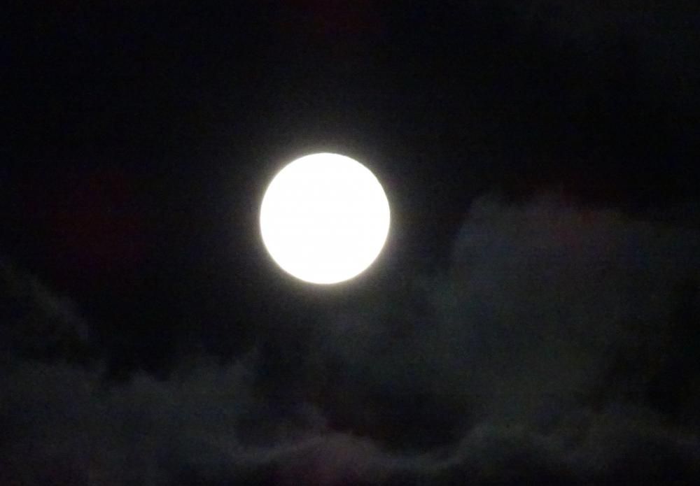 パンデミックの夜の十五夜(中秋の名月)、そして賢治からの”伝言”……