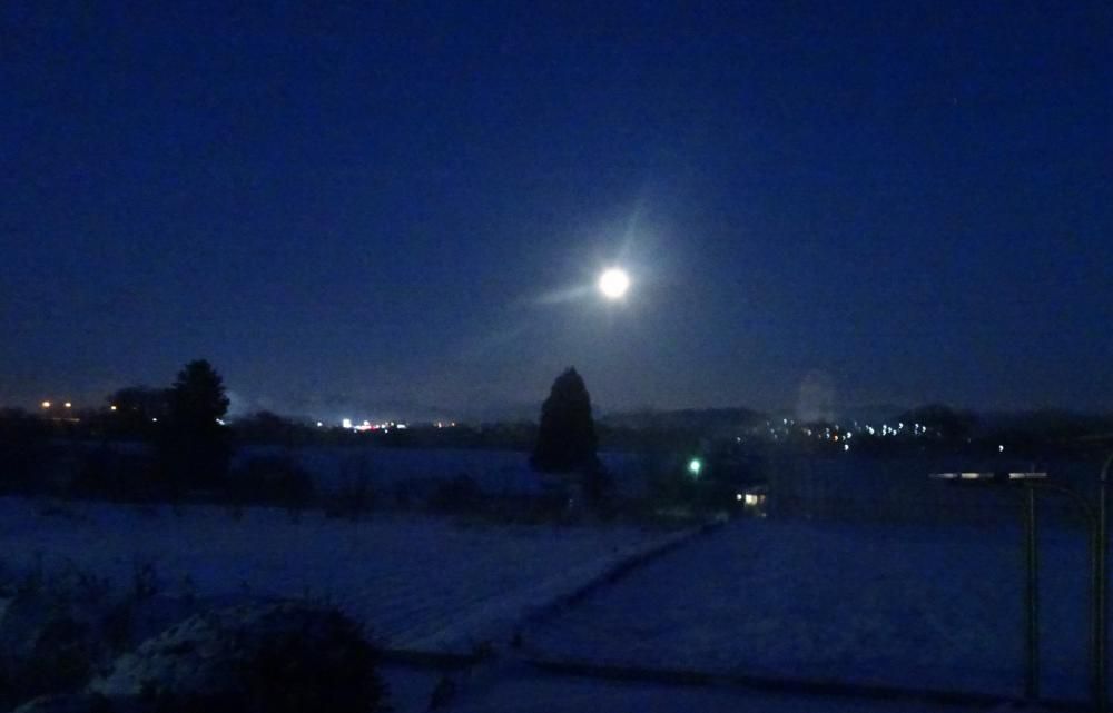 選挙の風景―その2…怒涛のロ-ラ-作戦!!??…見上げれば、まん丸なお月さん