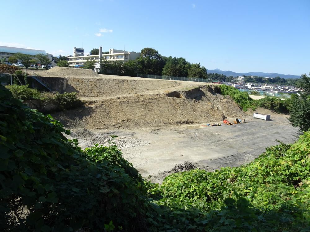 「イ-ハト-ブ図書館」の実現を目指して…「つぶやき」語録