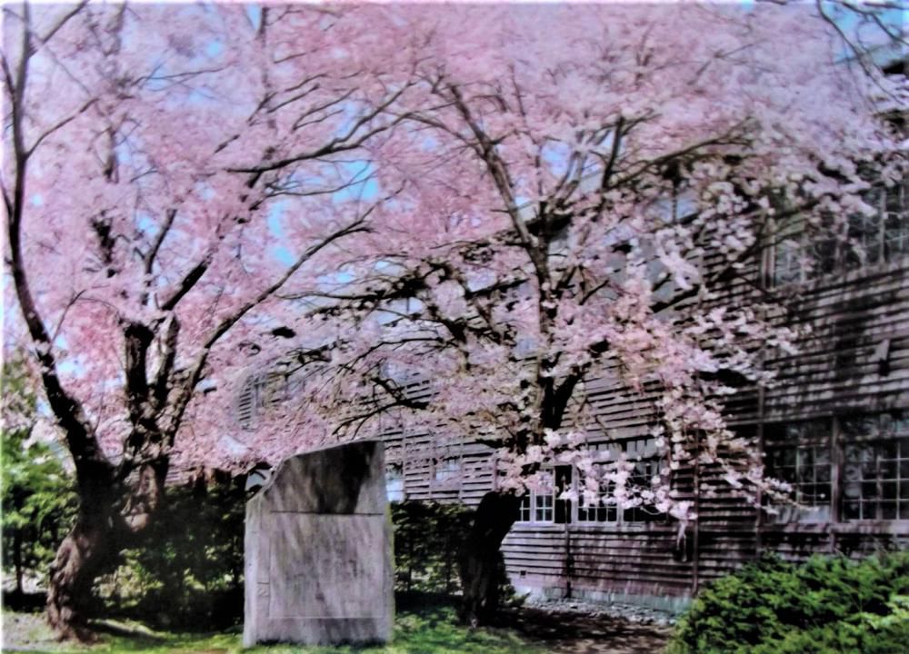 賢治ゆかり…「跡地」今昔物語~「旧花農」跡地を文教地区に!!