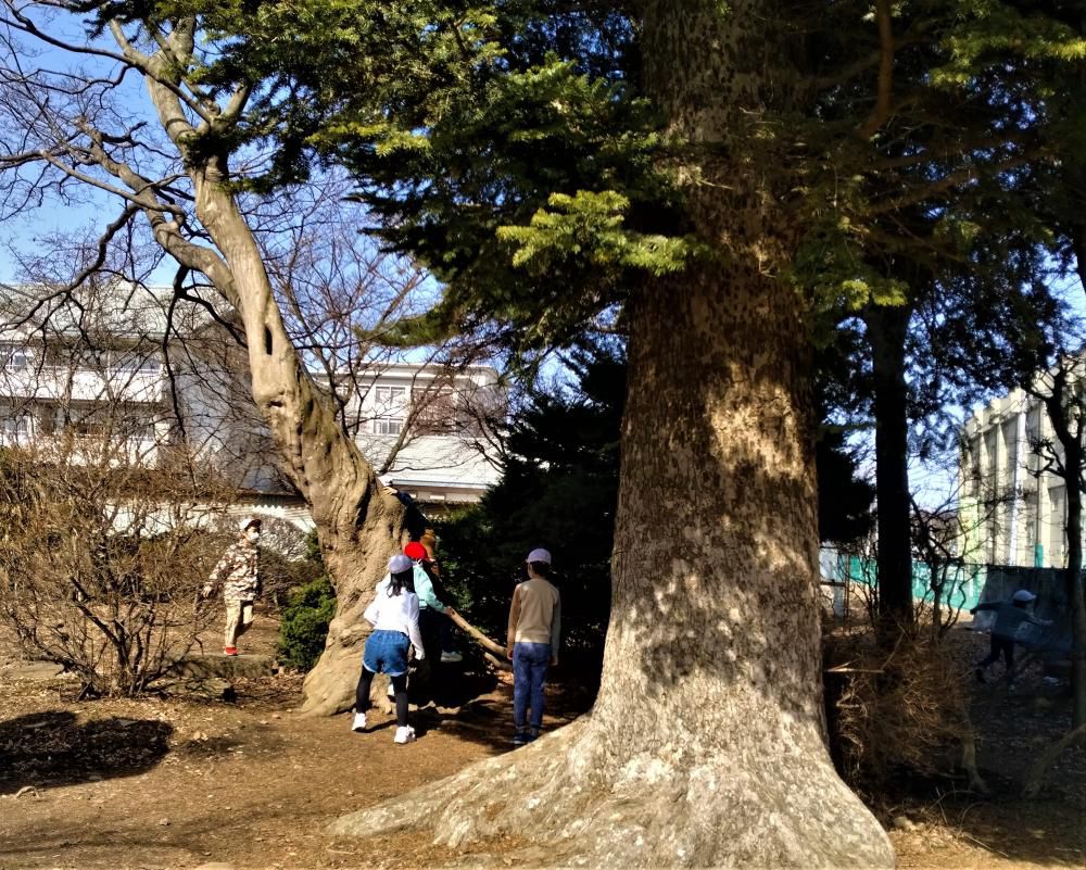 「喪失」という物語…“大江”ショックその後~そして、袴田さんと大谷選手の”あきらめない”精神!?