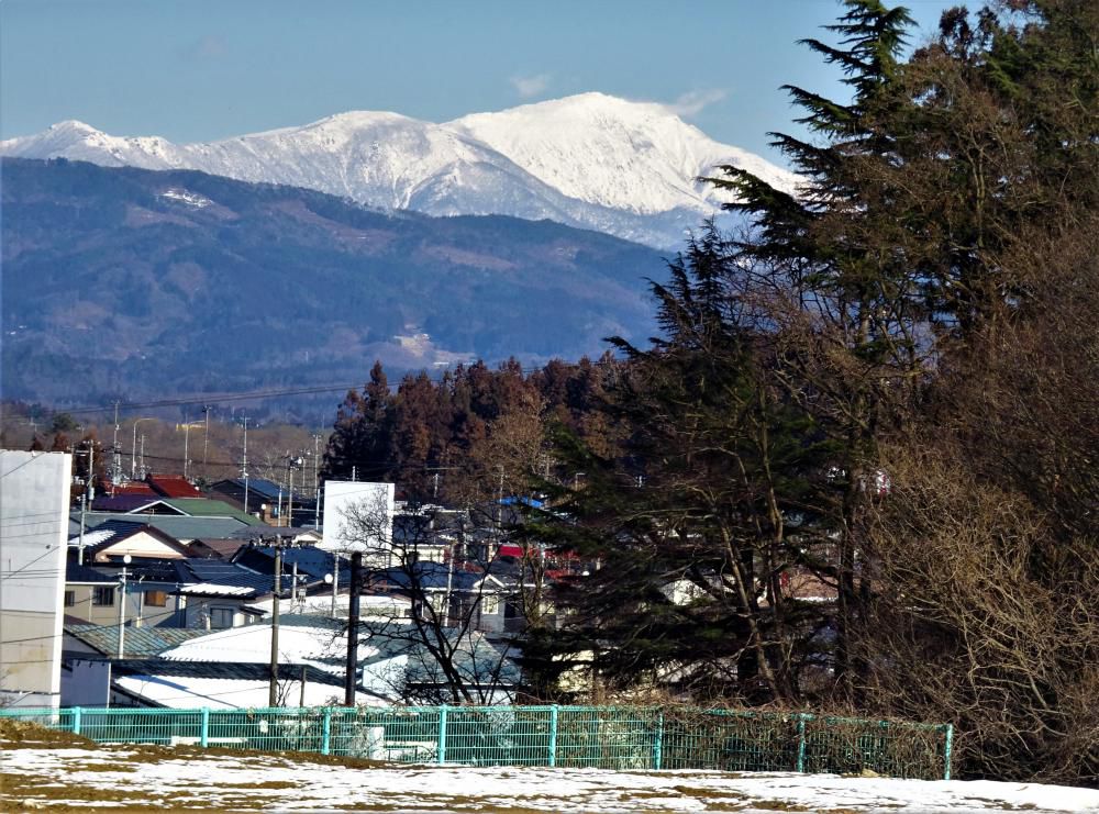 夢の図書館を目指して…「甲論乙駁」編(その6)~高校生がダメなら、今度はお化けとカラス!!??
