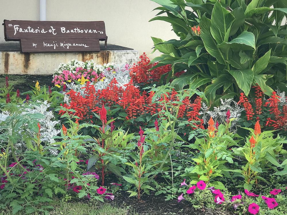 <「平和」メッセージの発信拠点から、「イーハトーブ」の建国に向けて>~IHATOV・LIBRARY(「まるごと賢治」図書館)の実現を目指して(その5=完)~この日は79回目の「敗戦の日」、そして、あの女は!!??