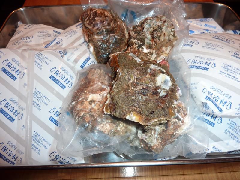 本日より、岩牡蠣にLaphroaig、Bowmoreを掛けて食べることができます。
