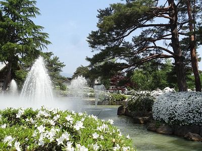’13つつじ開花情報（5月28日）