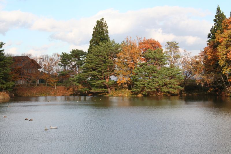【'14 紅葉情報】 古代の丘(11月4日)