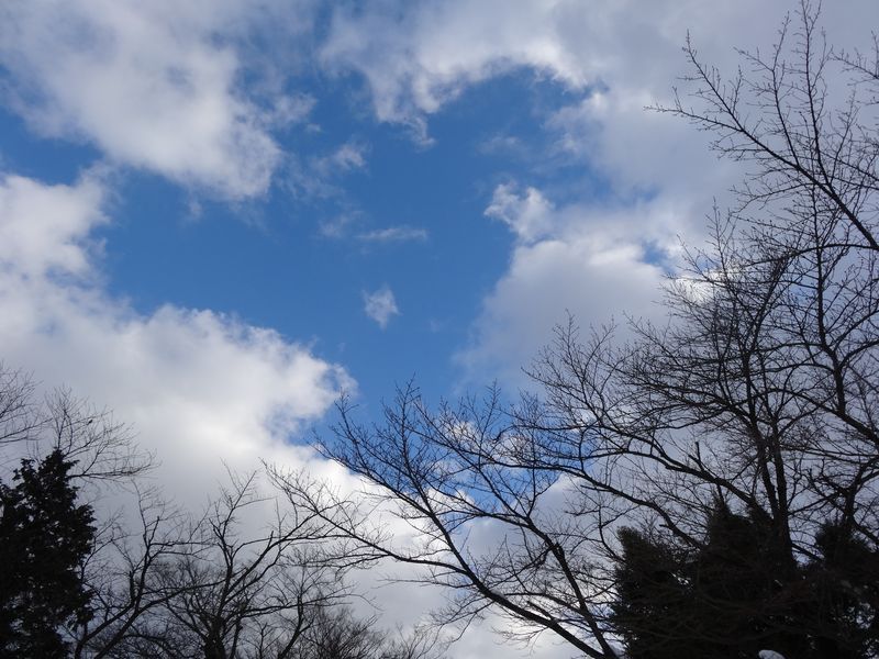【'15 積雪情報】 あやめ公園(1月15日)