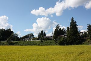 【フルーツ王国伊佐沢の風景】