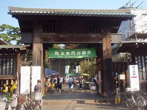 【大田区池上朝市＆仙台泉パークタウン秋まつり】