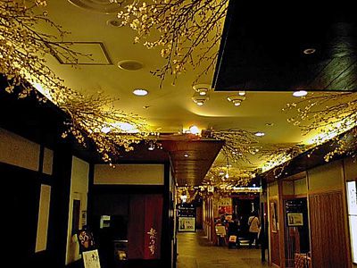 【黒板塀に長井の啓翁桜！】