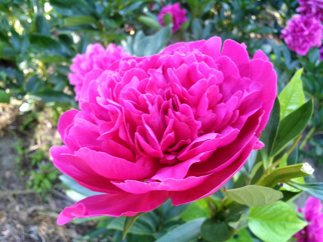 6/12(水) 臨時理事会