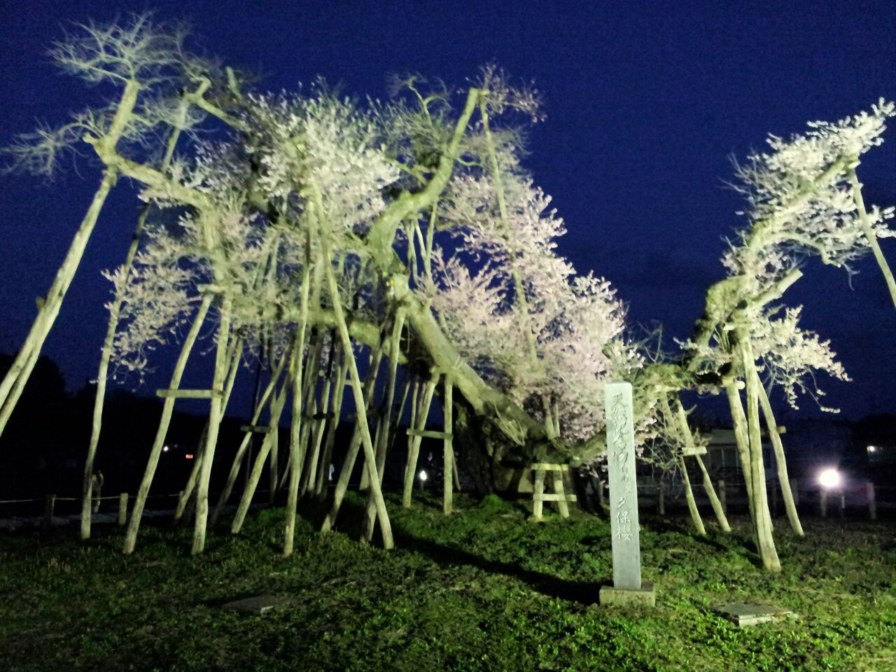 5/2(木) 第5回理事会