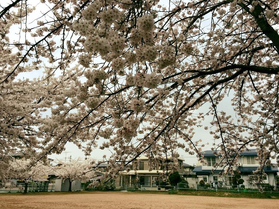 子どもの情景