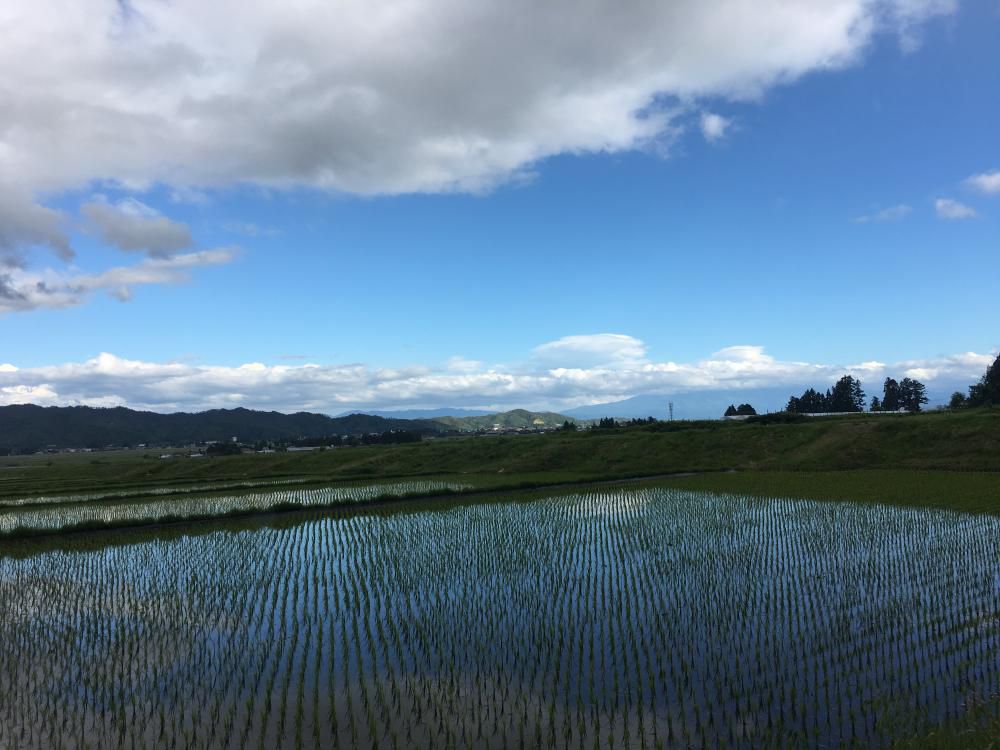 ふるさとにあるもの