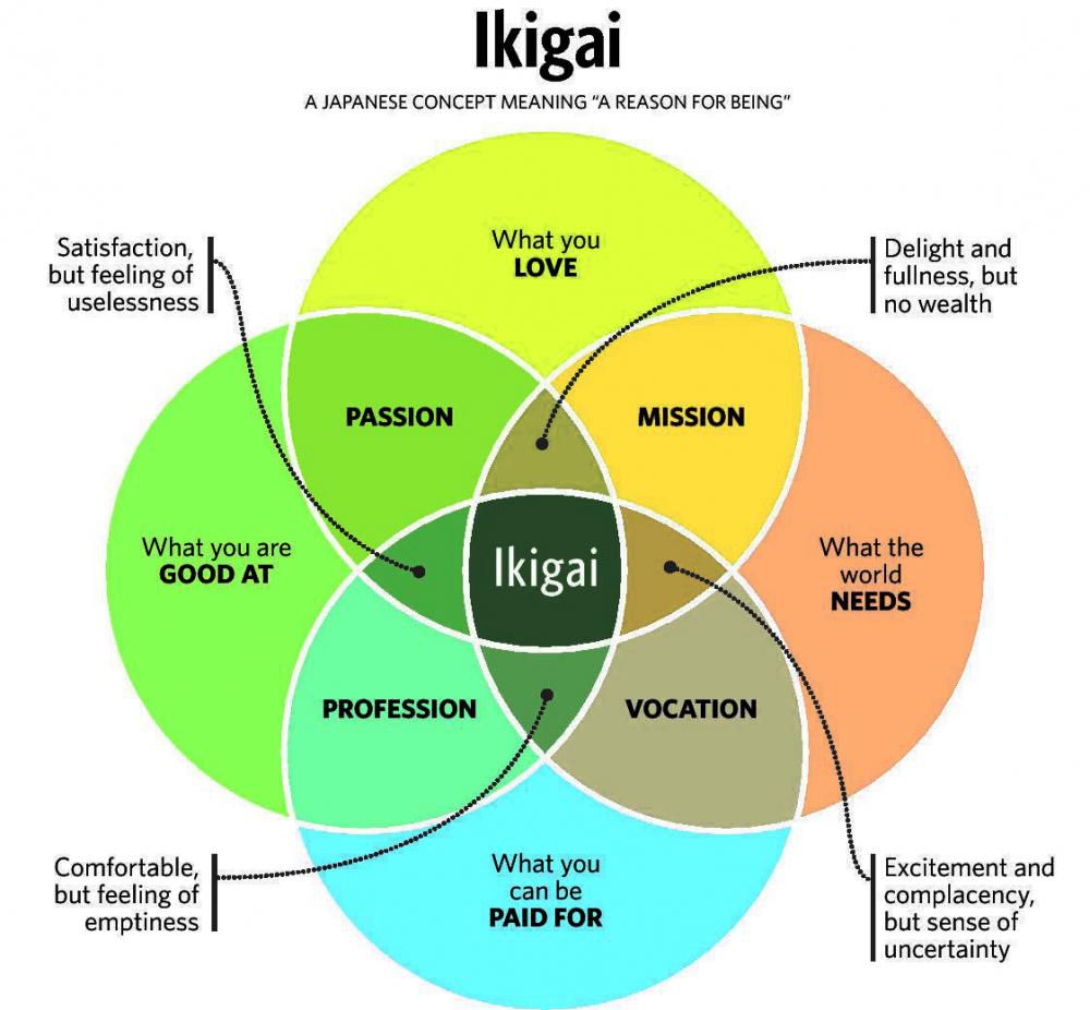 IKIGAIの図