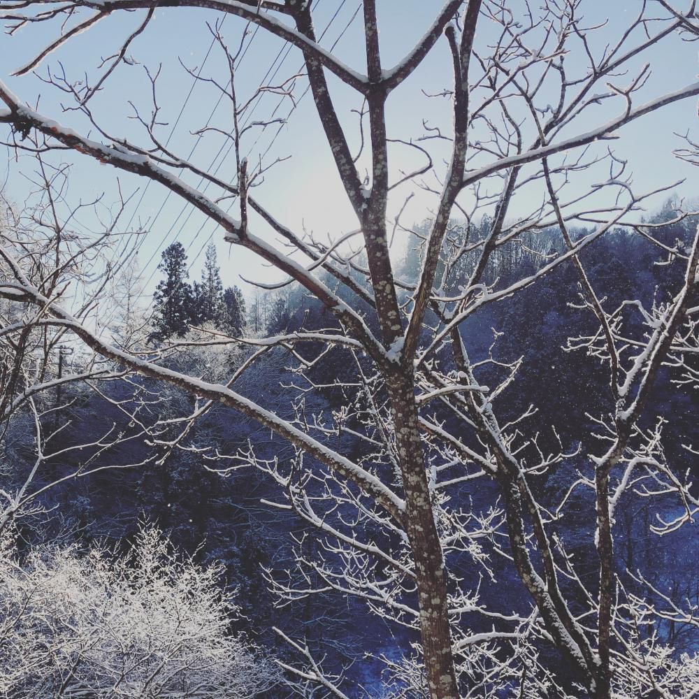 雪国の雪