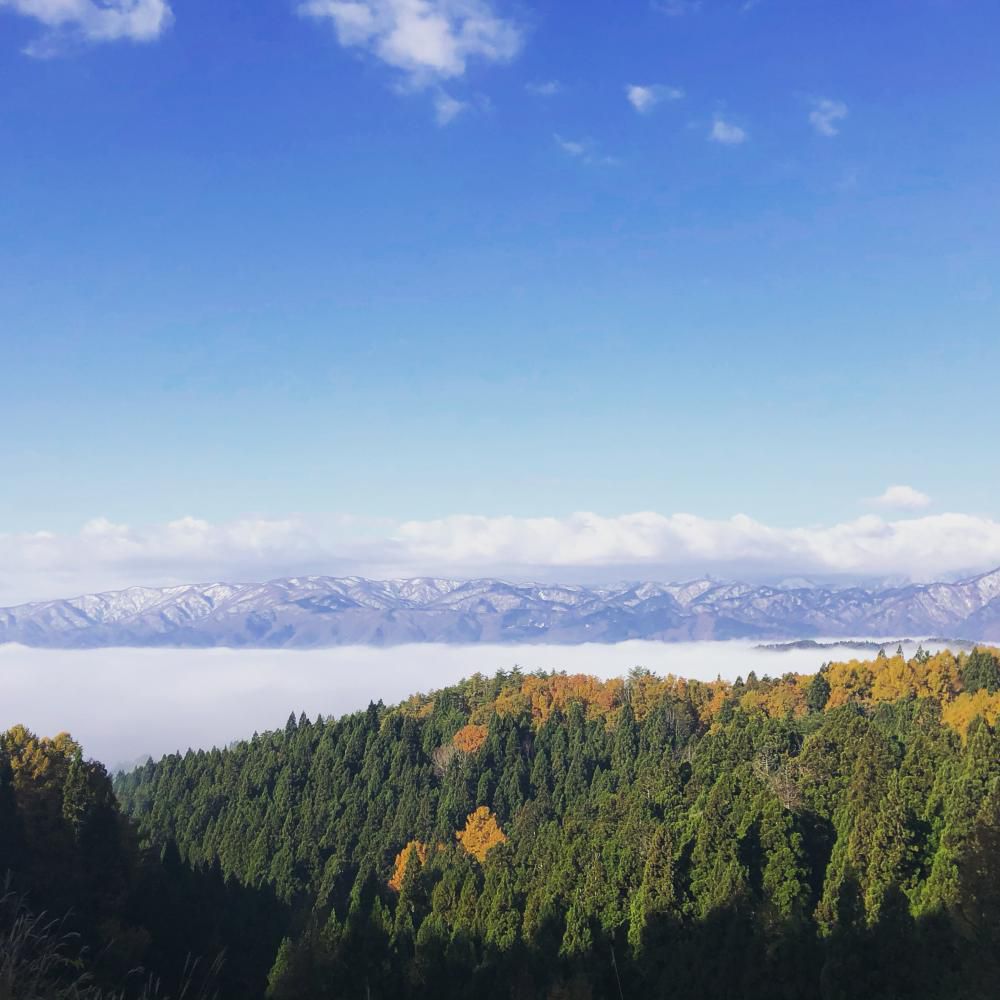 雲海日和