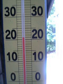 山奥の外気温ネタ２^_^;