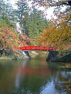 上杉神社お堀は今が紅葉シーズン