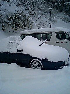 今朝にかけては、２０ｃｍの粉雪。