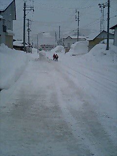 歩道の除雪も！？エリア拡大中