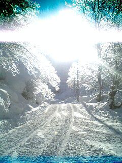 逆光に強い？！晴天の山奥にて