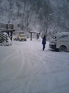 春の吹雪！　山奥では久々に１０cm積もりました。