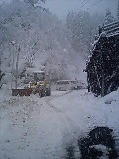 山奥（標高１１２６m）は雪が降ってます。