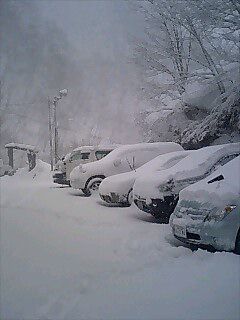 天気予報どおりの展開