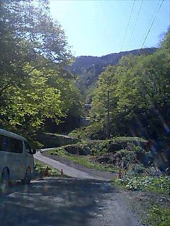 スカッと晴れ渡る山奥の新緑