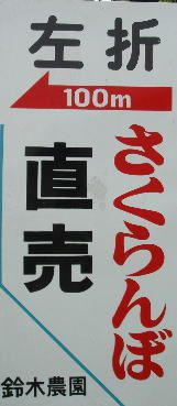 観光さくらんぼ園　鈴木農園開園間近！