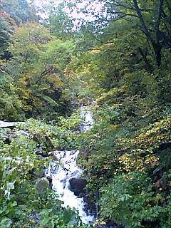 山奥の紅葉情報（10月8日現在）