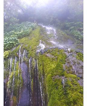 最上川源流の神秘画像