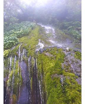 最上川源流の神秘画像