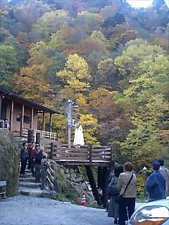 山奥の紅葉情報（10月16日現在）