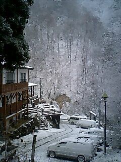 ワンポイント定点観測（雪だぁ）