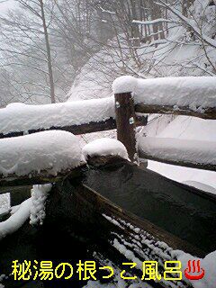 春の大雪・・・＋２０ｃｍ！